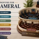 synonyms for bicameral