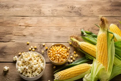 synonyms for corn