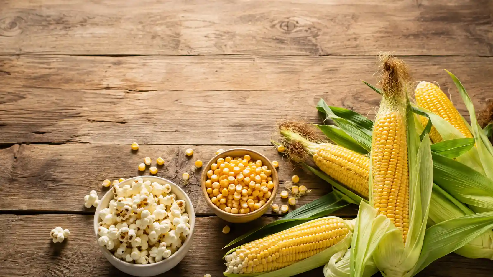 synonyms for corn