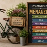 synonyms for menagerie